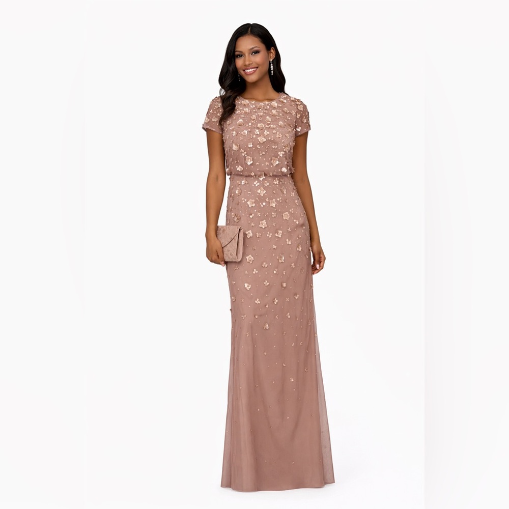 Adrianna Papell Blush Maxi Dress